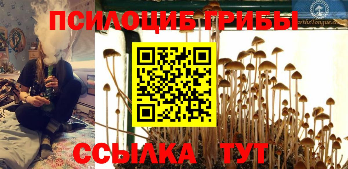Псилоцибиновые грибы ЛСД Добрянка